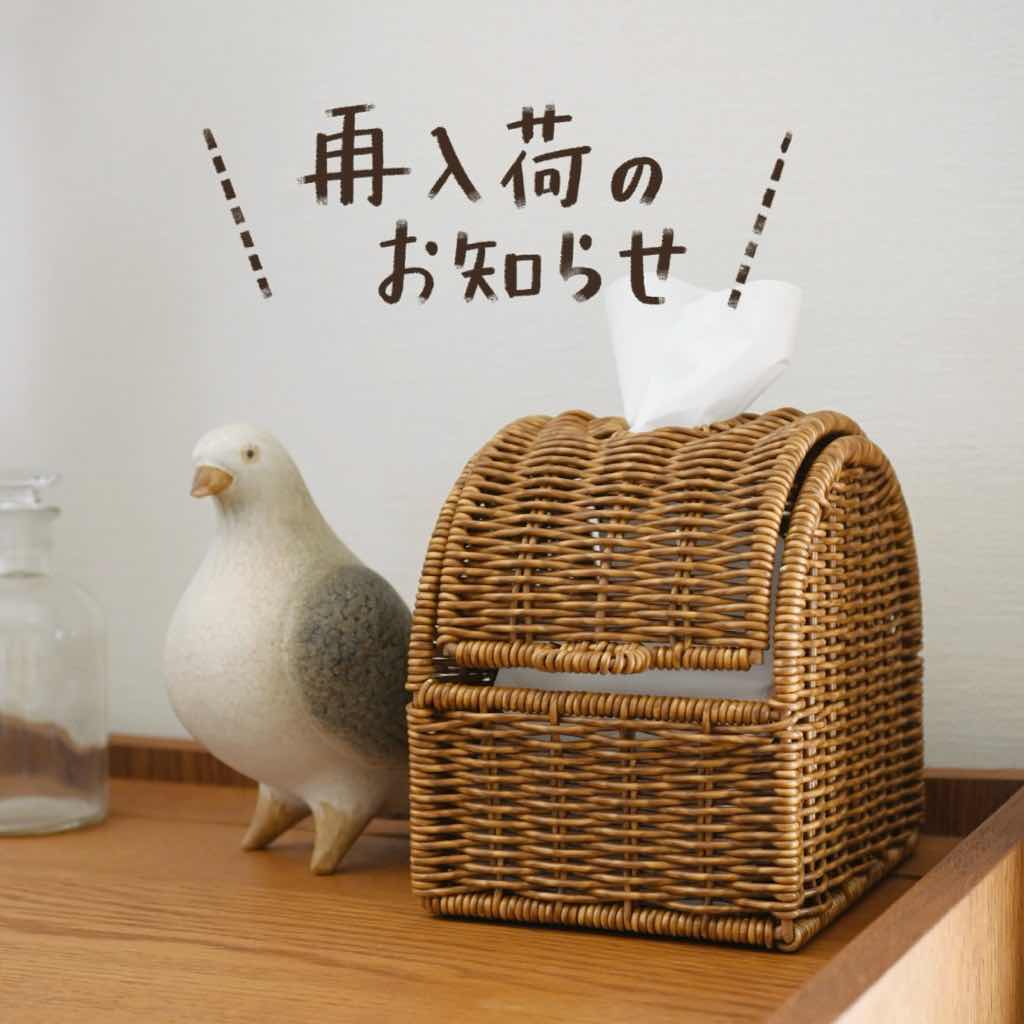 再入荷だよ！！人気アイテム祭