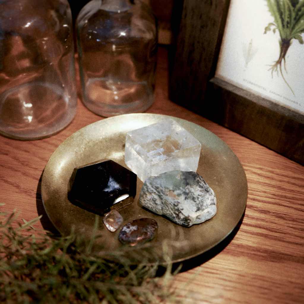 つくろうぜ自分だけの博物館