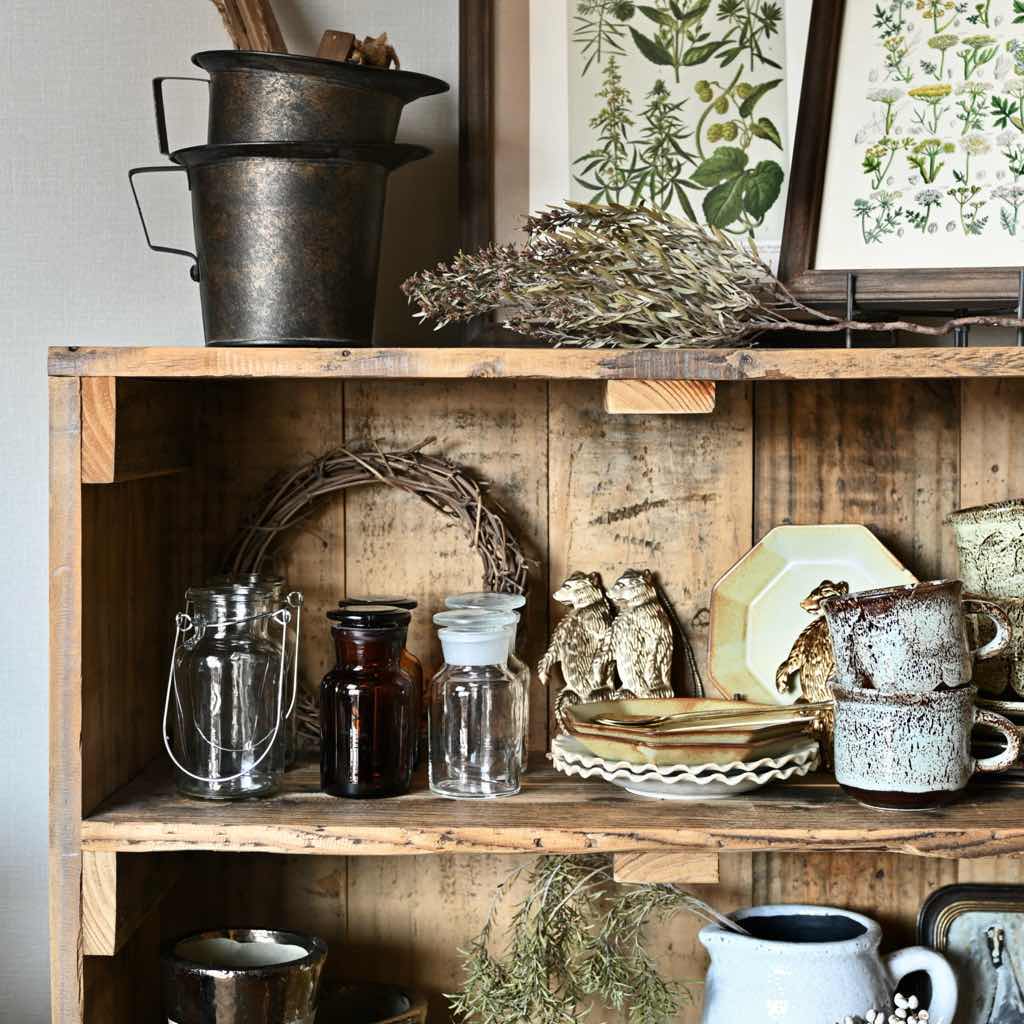 11月は出店スペシャル月間!!