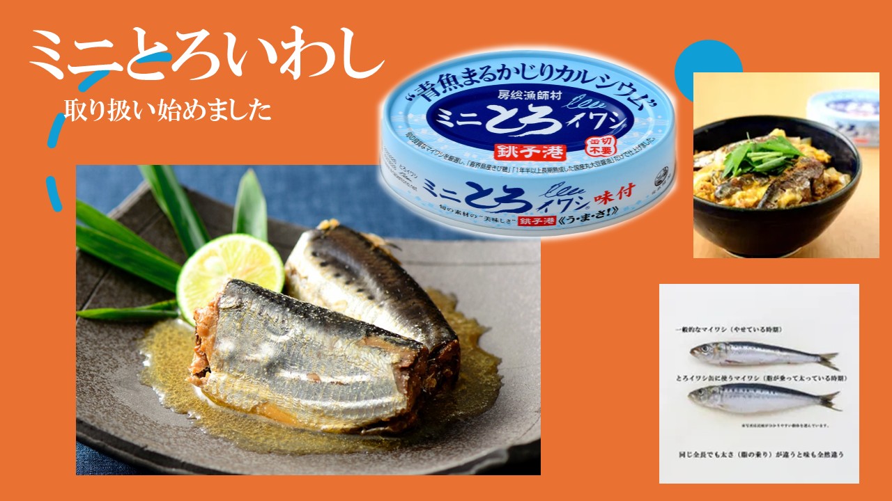 銚子港 ミニとろいわし缶詰 取り扱い開始 一缶380円(税込)