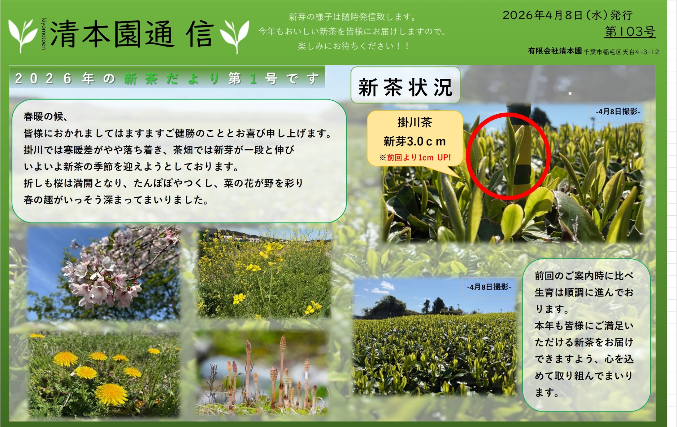 2026年新茶通信1号