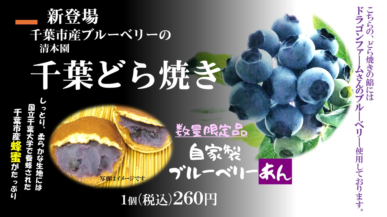 ブルーベリー餡どら焼き新登場