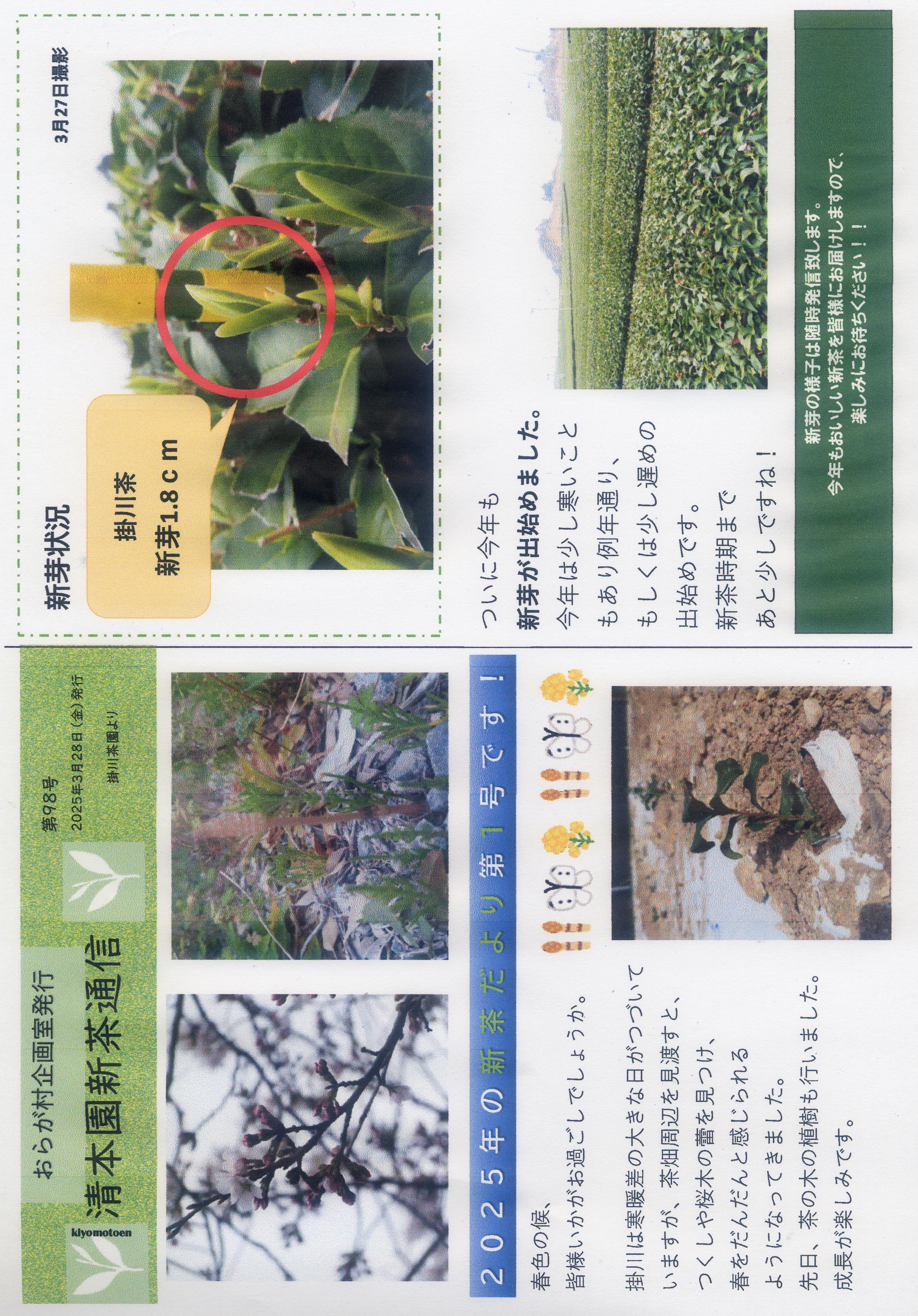 2025　新茶通信