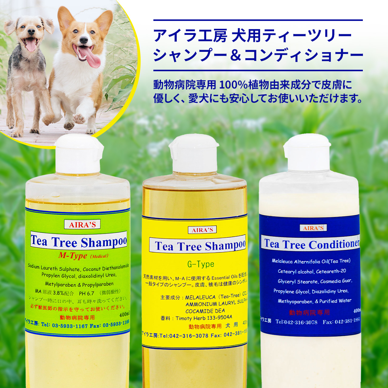 アイラ工房 ティーツリーシャンプー＆コンディショナー入荷