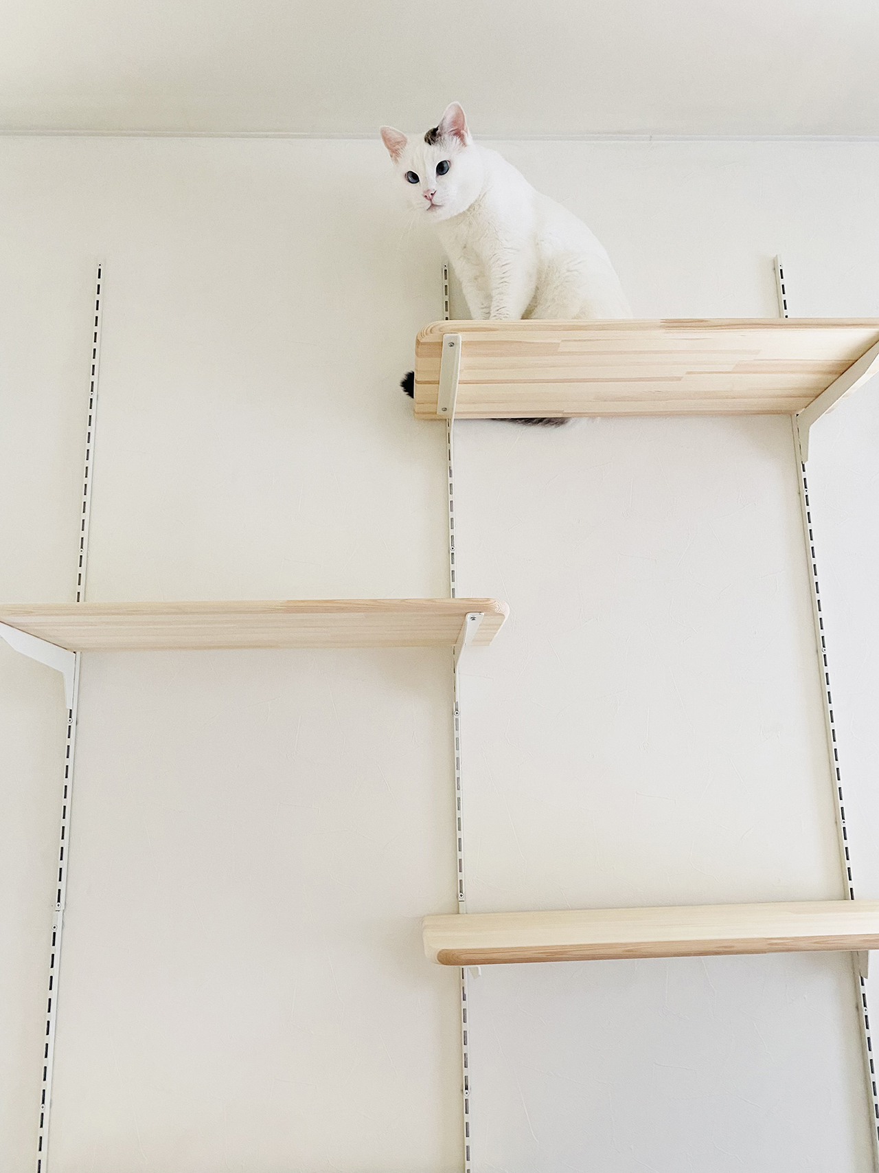 可動式キャットステップ 作りました