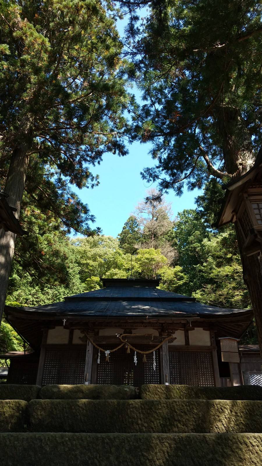 ウォーキング♪