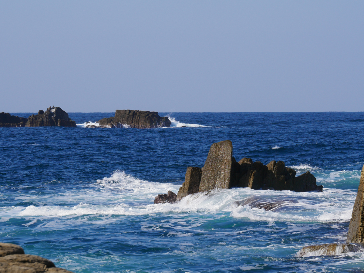海へ！