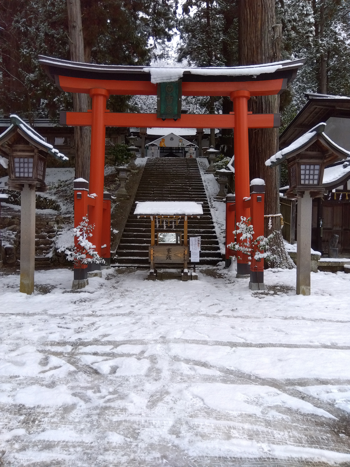 明けましておめでとうございます。