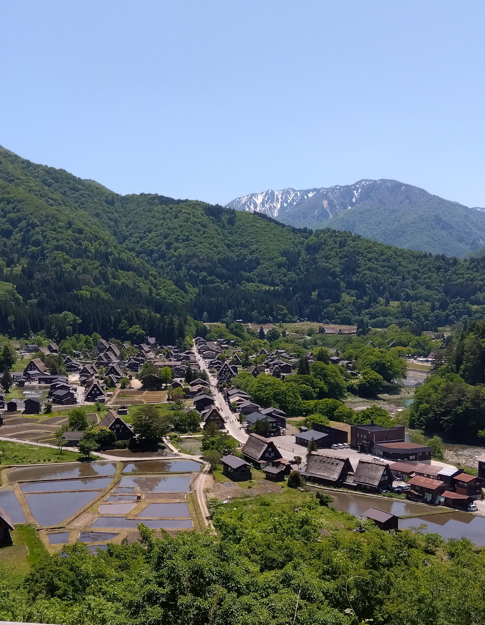新緑の季節