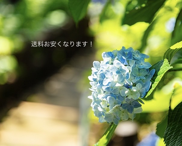 送料改訂のおしらせ