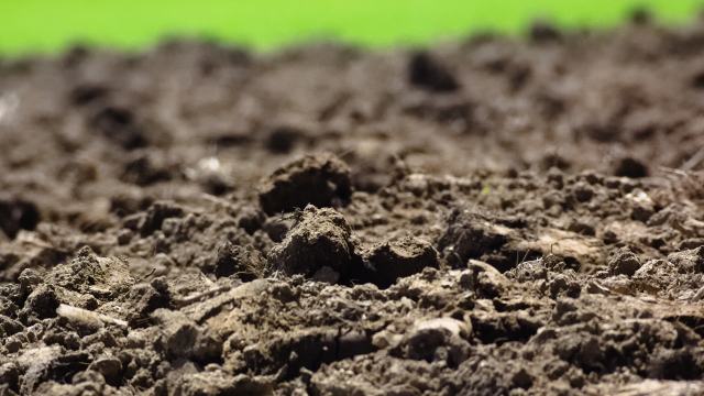 ハーブの土選びの基本を知ろう！ハーブごとに合う土質や土作り資材を解説