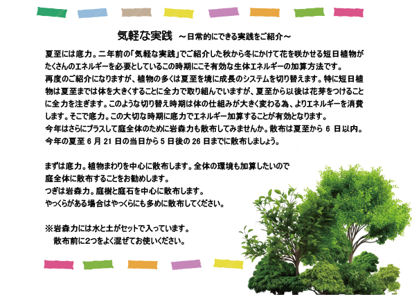 【気軽な実践シリーズ ～日常的にできる実践～ 】夏至の実践