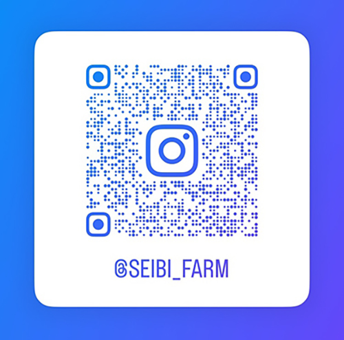 【聖美農園倶楽部日誌】 聖美農園の状況をInstagramより発信しています‼