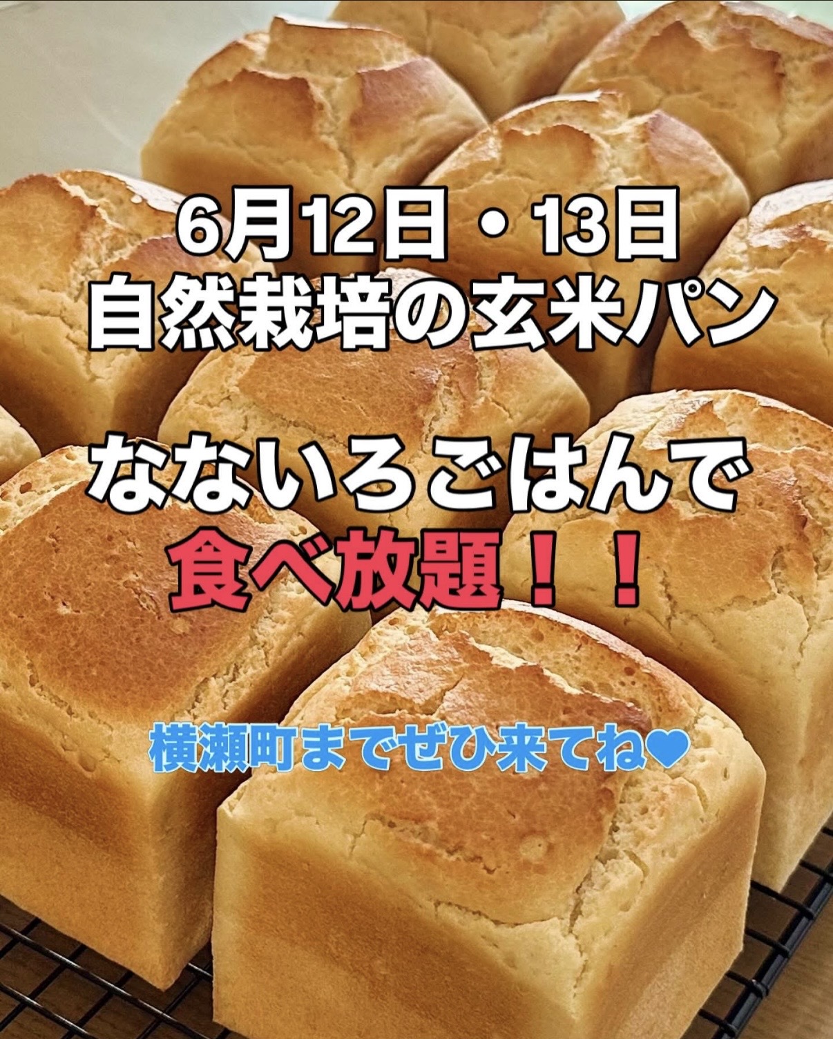 6月12・13日 焼きたてパン食べ放題！！