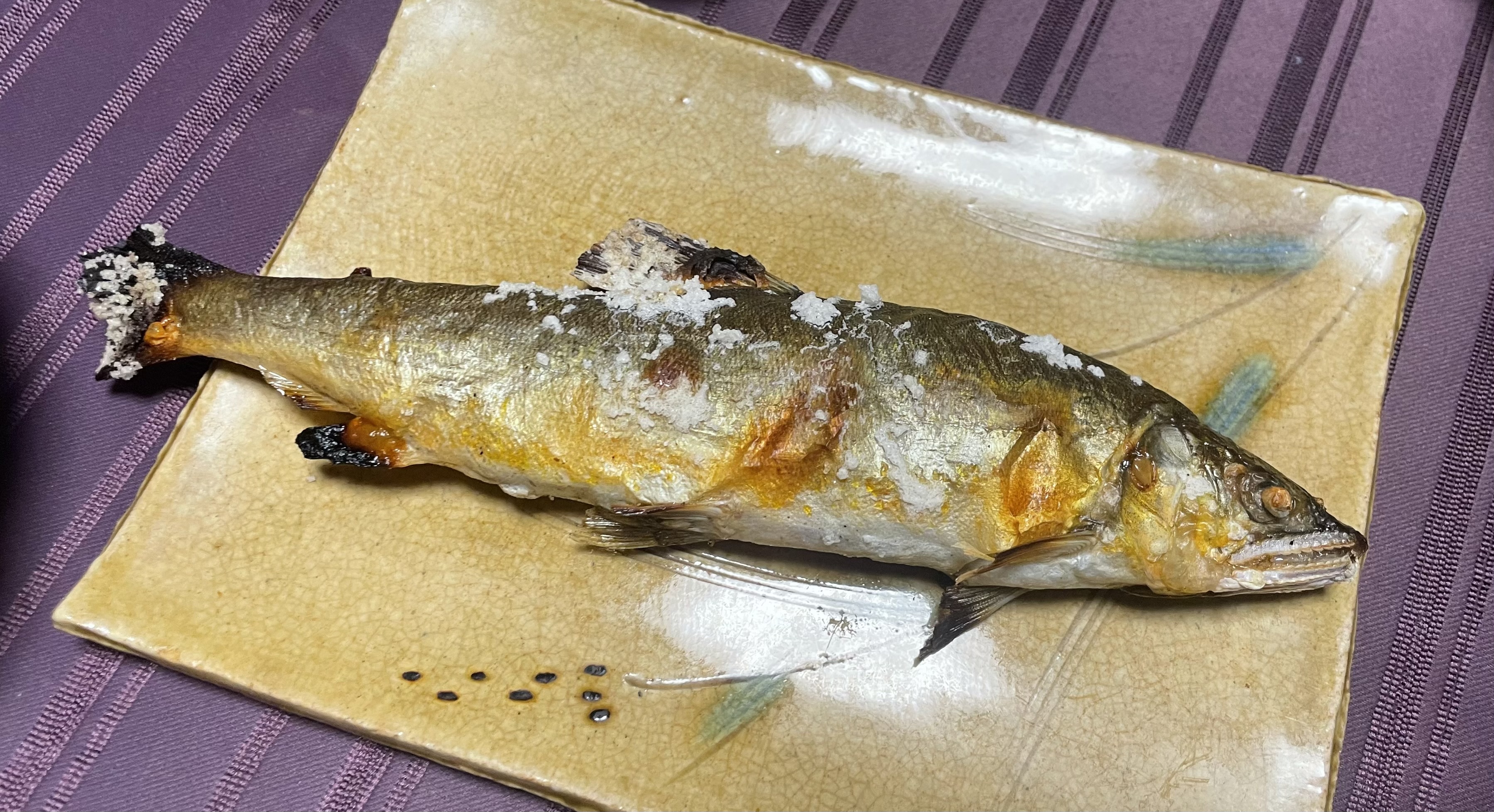 川辺川天然鮎