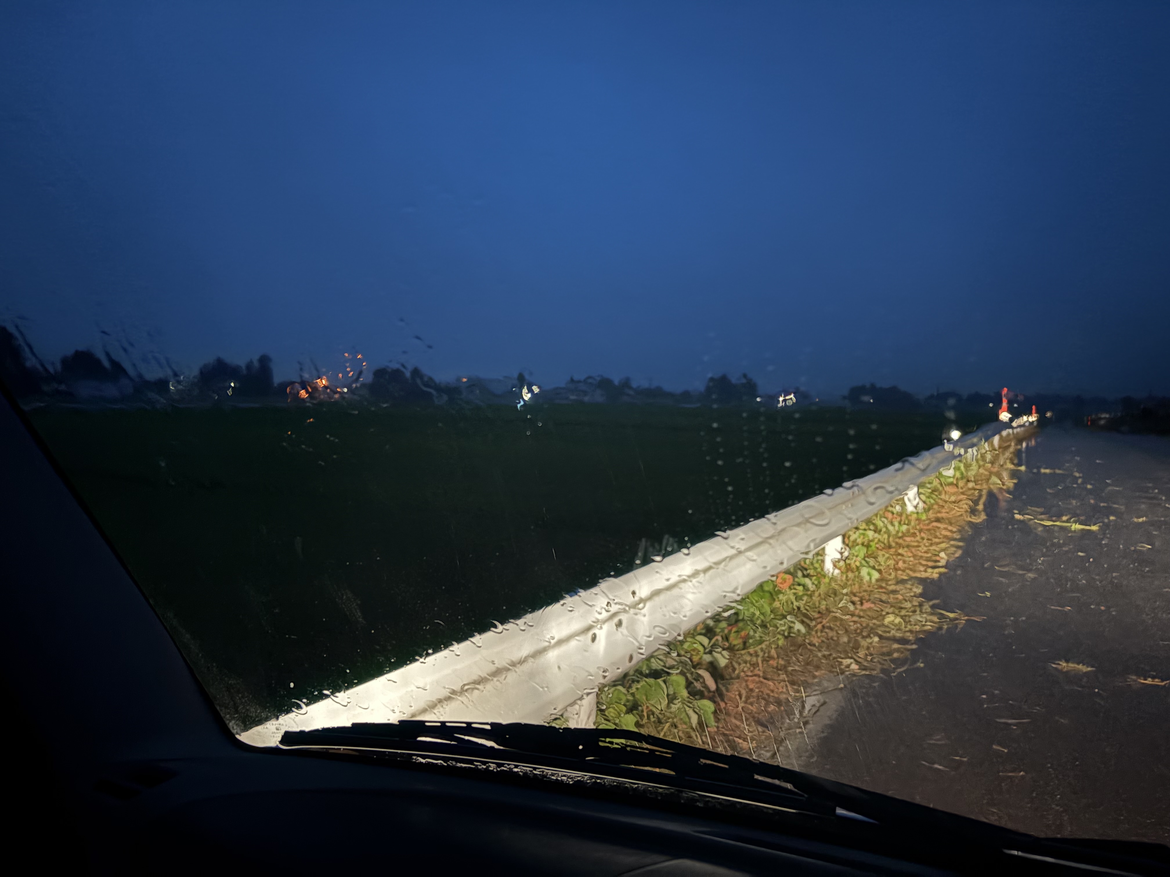 雨が、ようやっと降りました