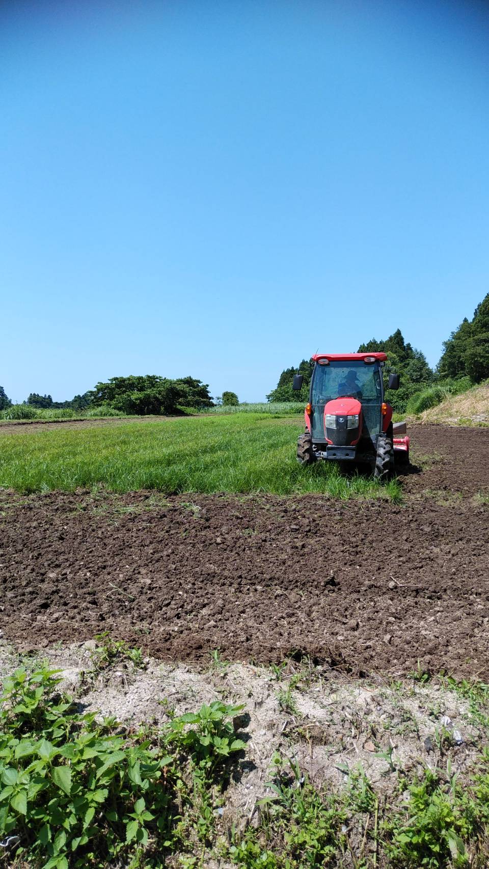 そばの種まきが近づいてきました！