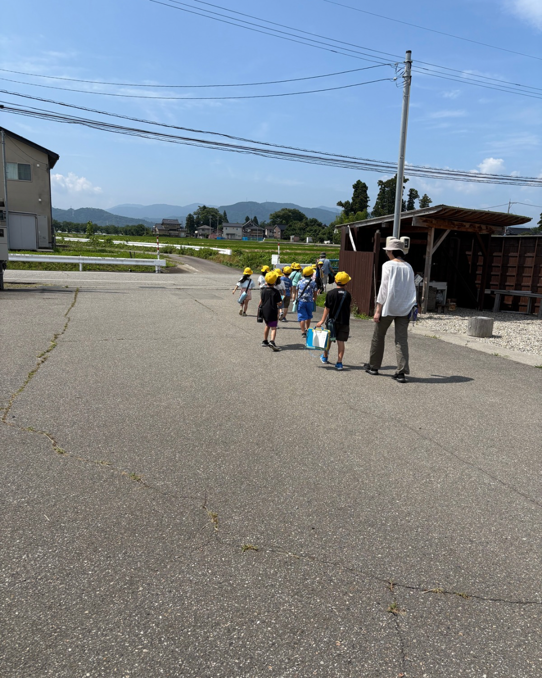 可愛いお客様がやってきた