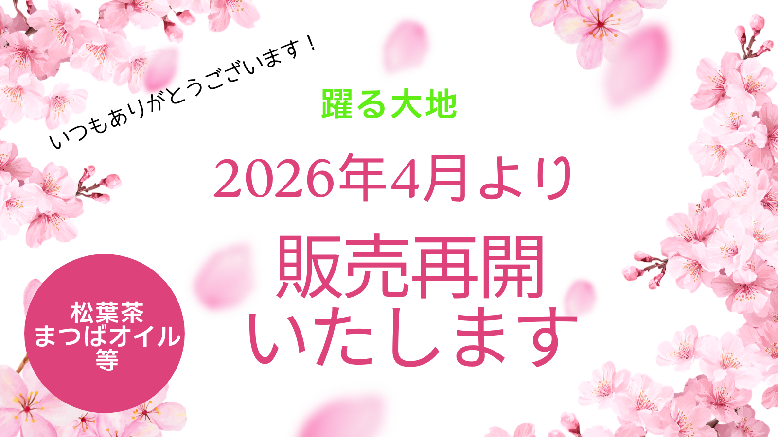 2026年4月より順次販売を再開させていただきます!