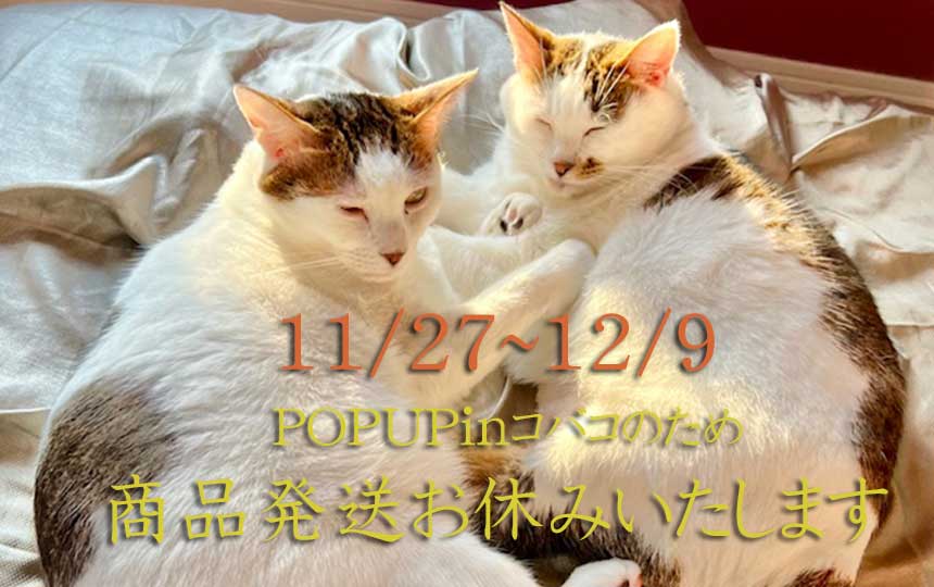 【ブログ更新】POPUPinコバコ✨特別プレゼントのお知らせ