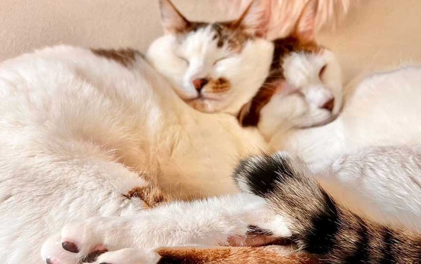 【ブログ更新】スピリチュアルで得た宝物✨