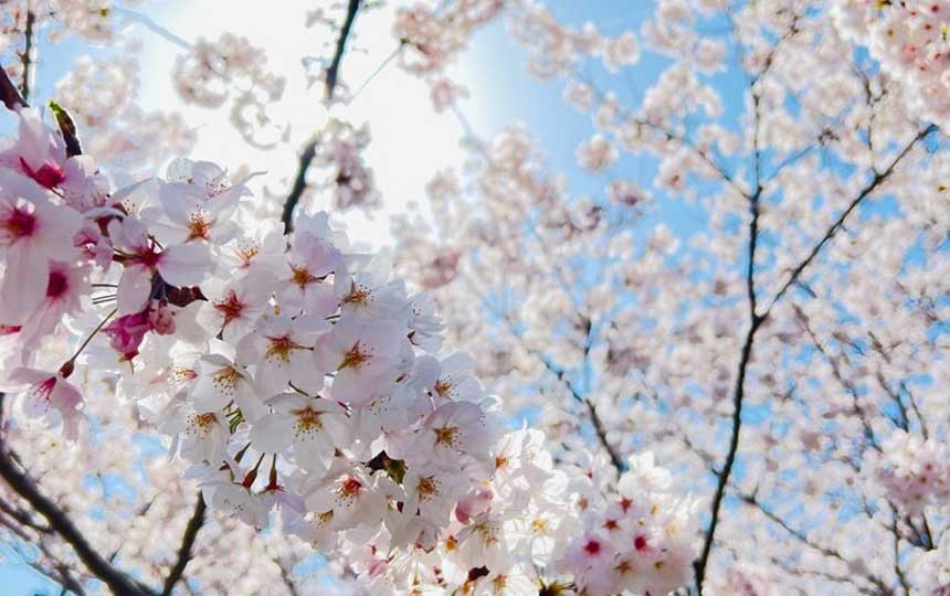 【ブログ更新】念願の初☆隠岐旅✨2日目前半