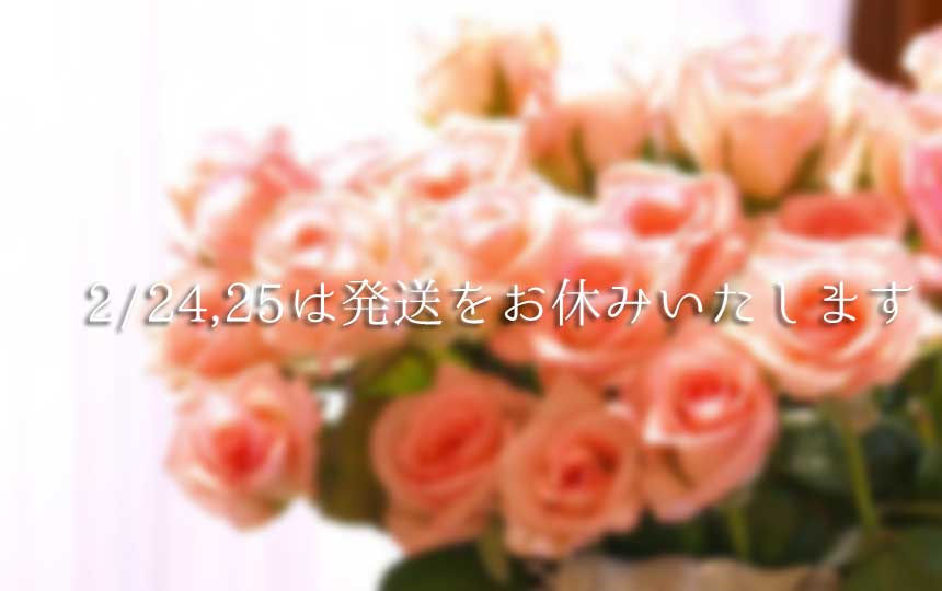 2/24、25発送お休みいたします