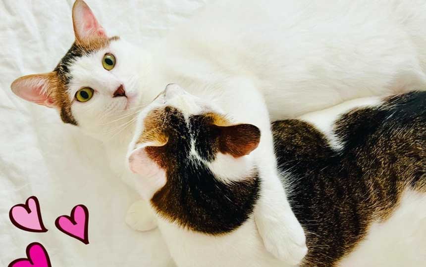 【ブログ更新】コントラストの世界を生きる✨