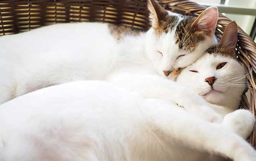 【ブログ更新】思い通りの現実を創る方法✨