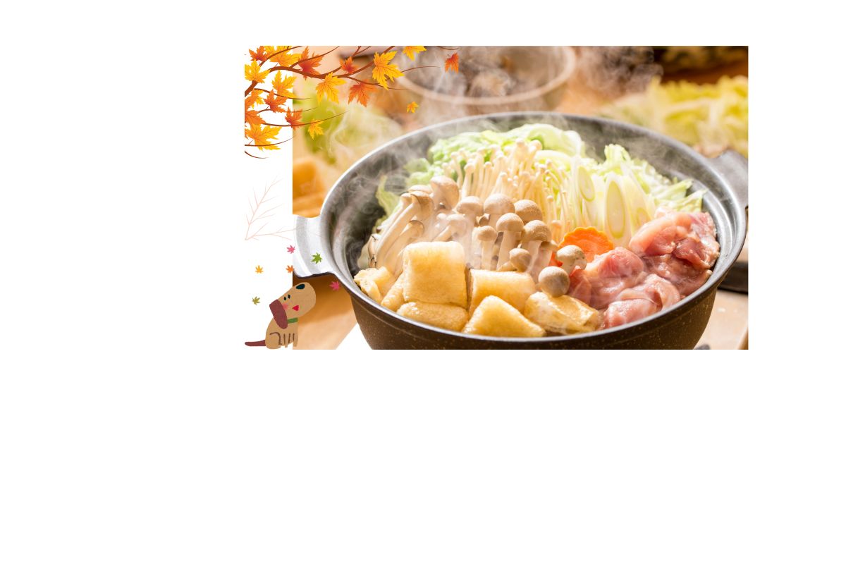 山陰の冬の味覚！11月の旬の魚19選