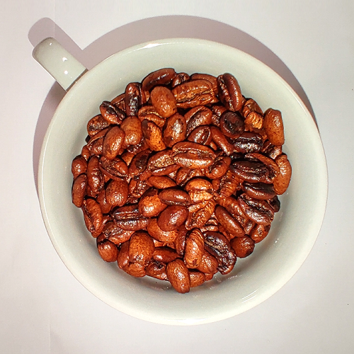 ！当ショップで話題のリベリカ種！