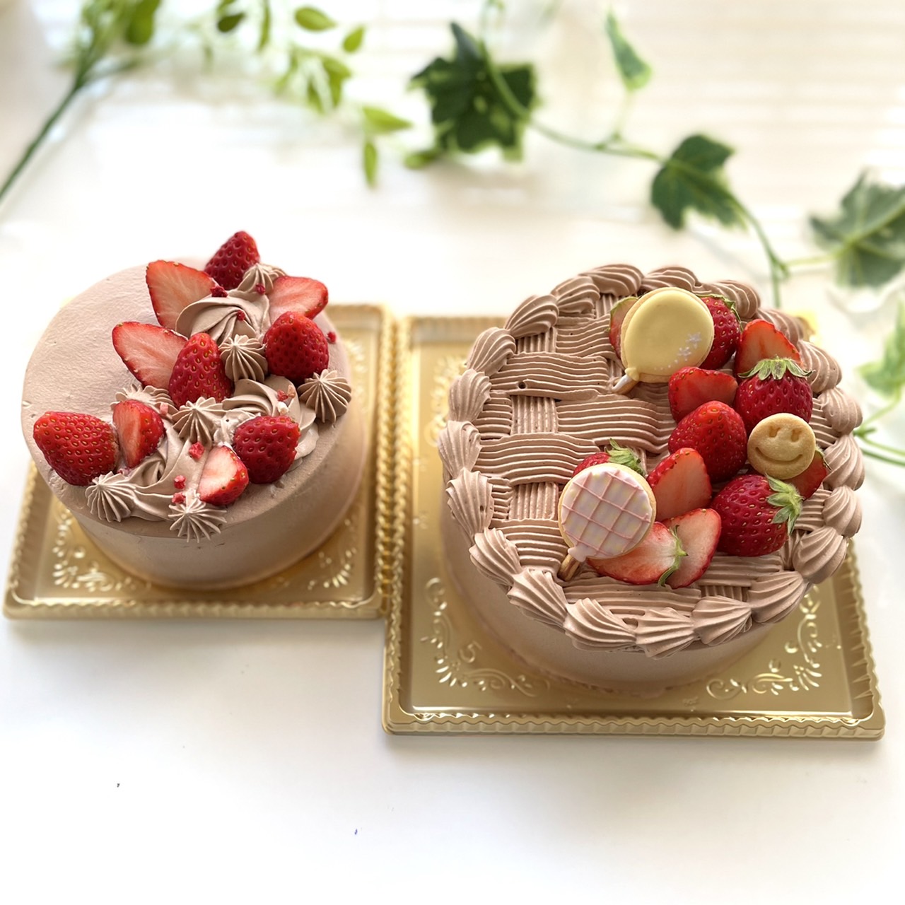 チョコレートケーキ☆
