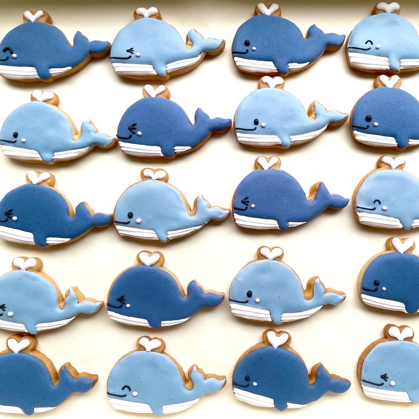 クジラさーん☆出来ましたぁー(*´▽｀*)