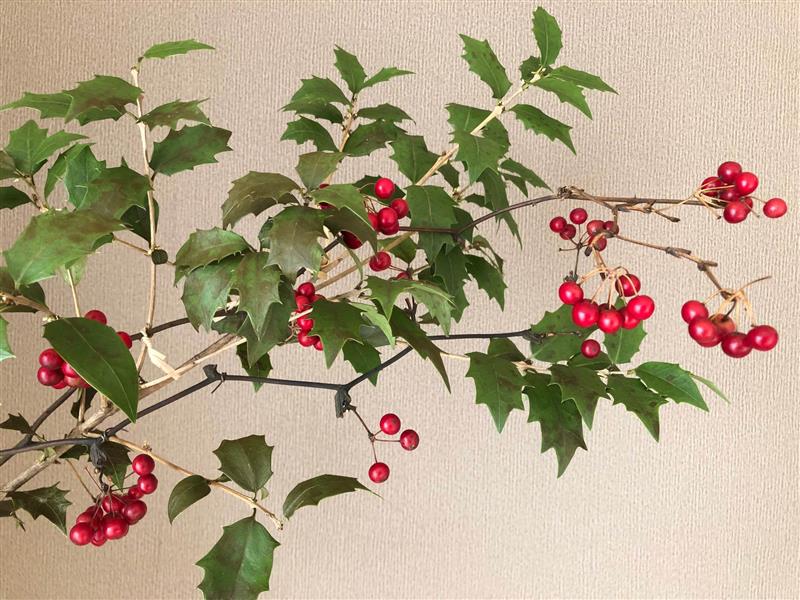 オンラインショップをオープンしました!