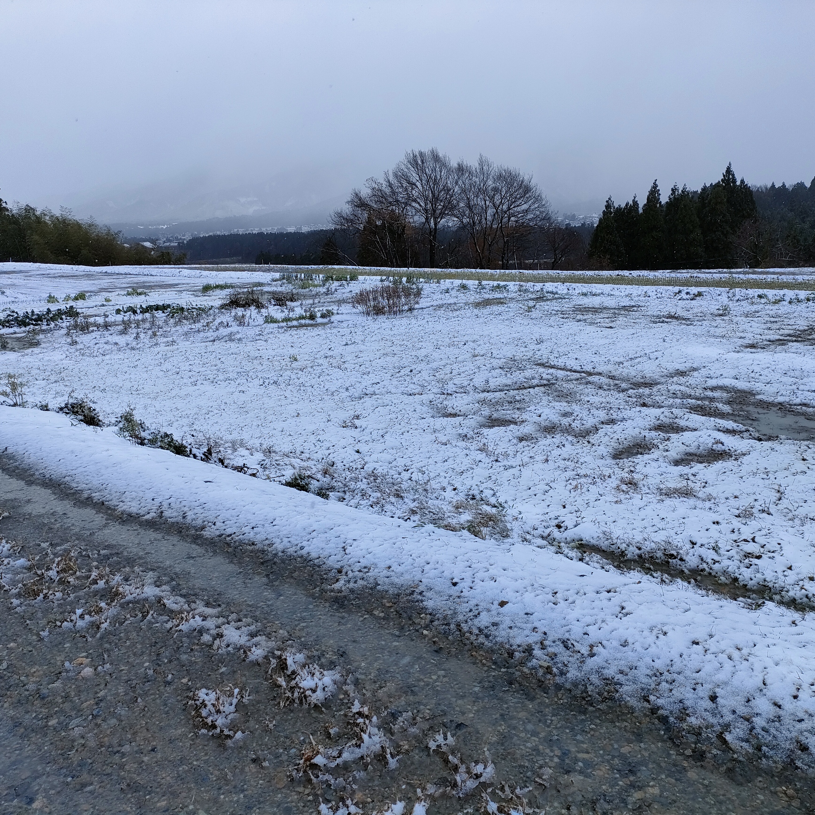 雪もちらつき