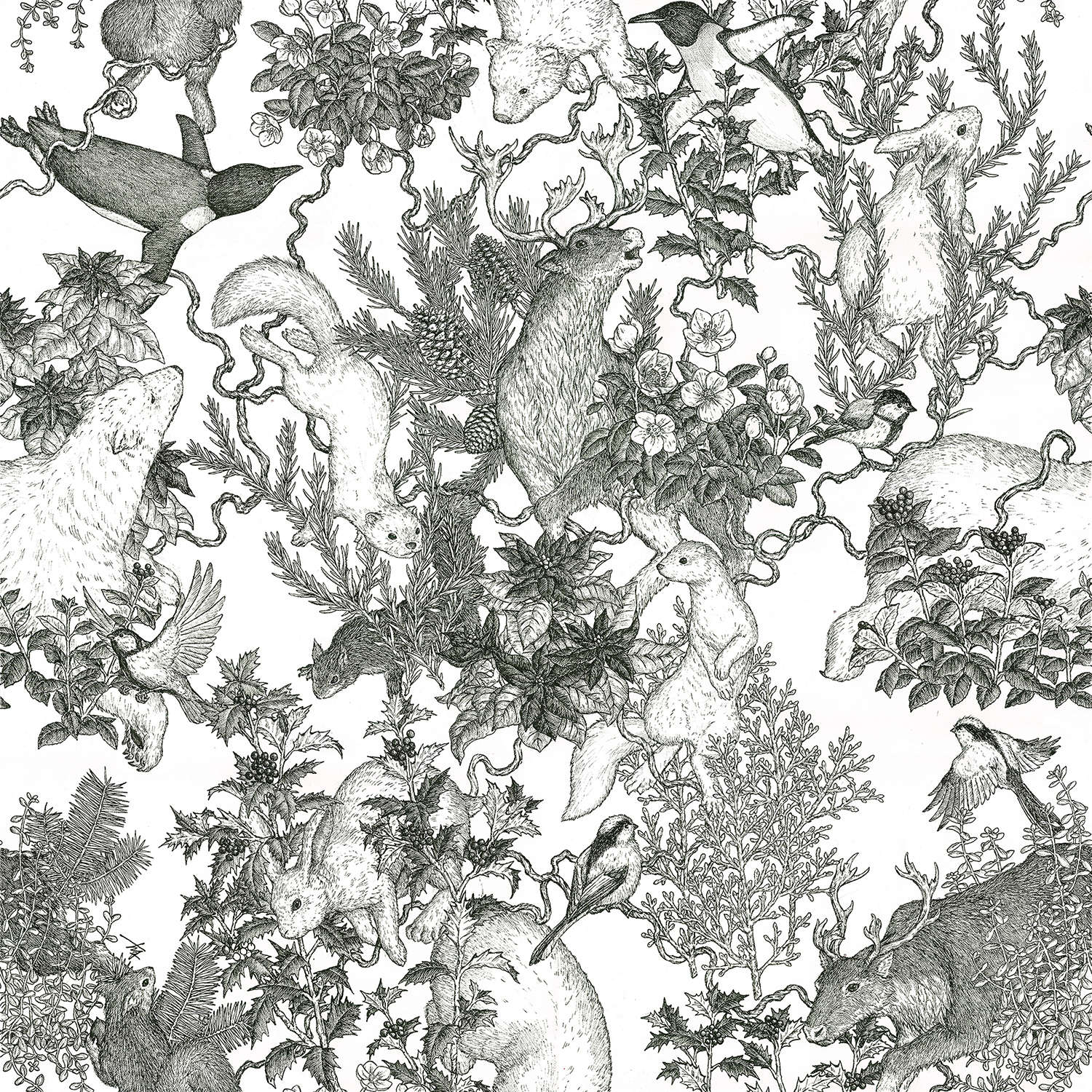 bpbp 2024 FW COLLABORATION -Tomoaki Murayama-