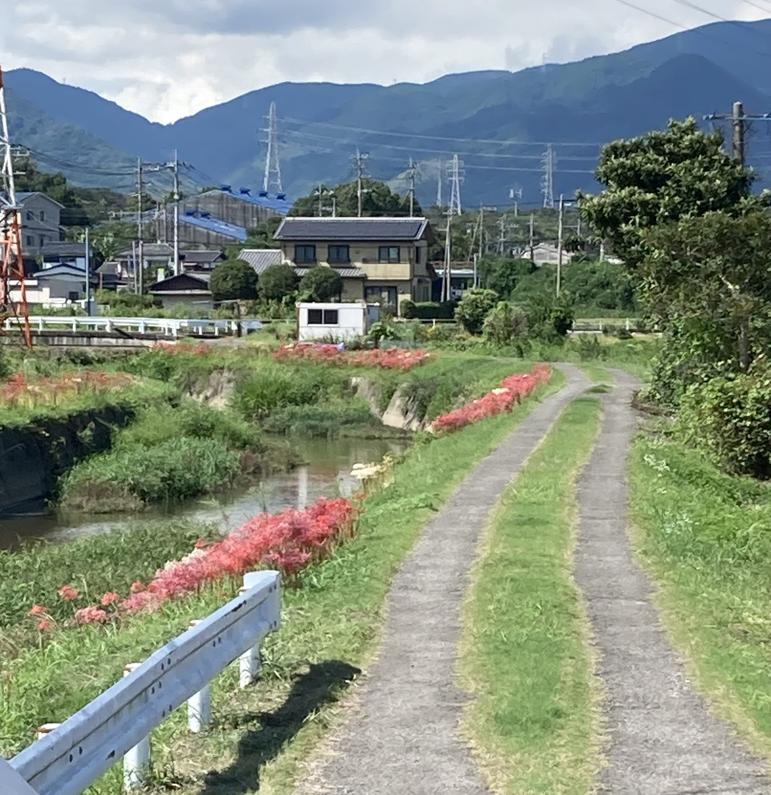 自分で試してみること