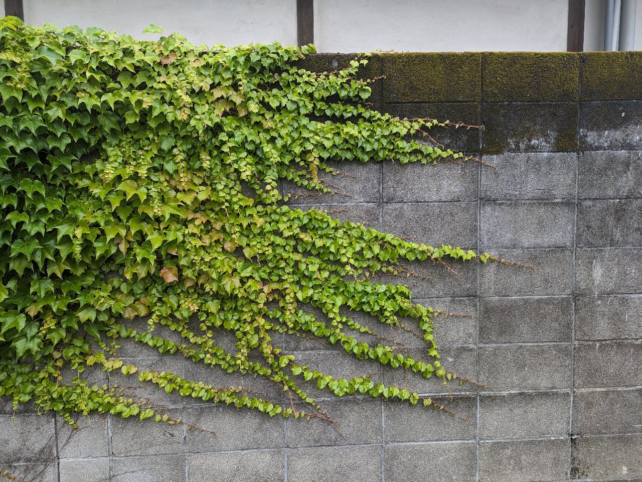 クローゼットつくり
