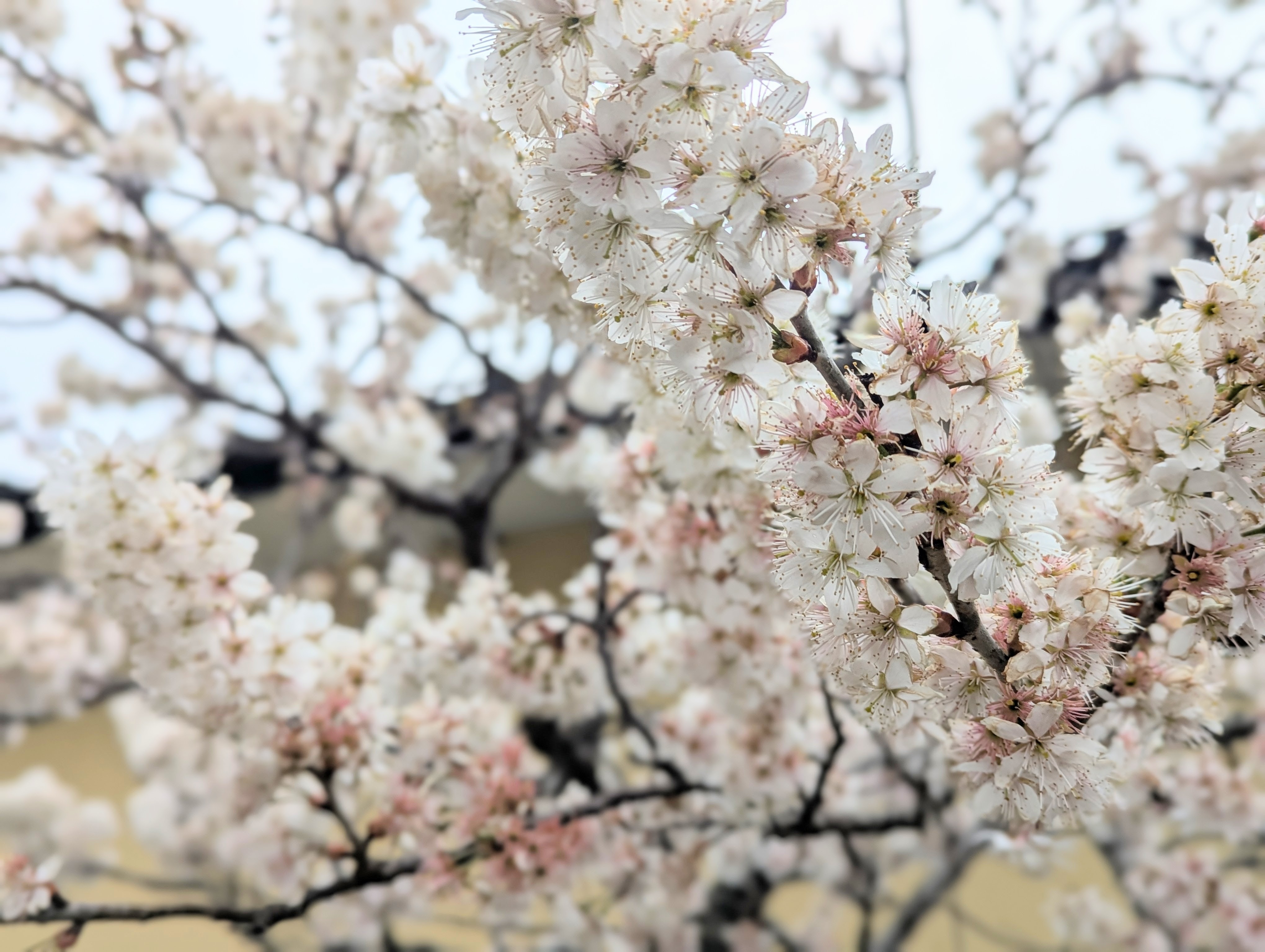 「縁」について考えた