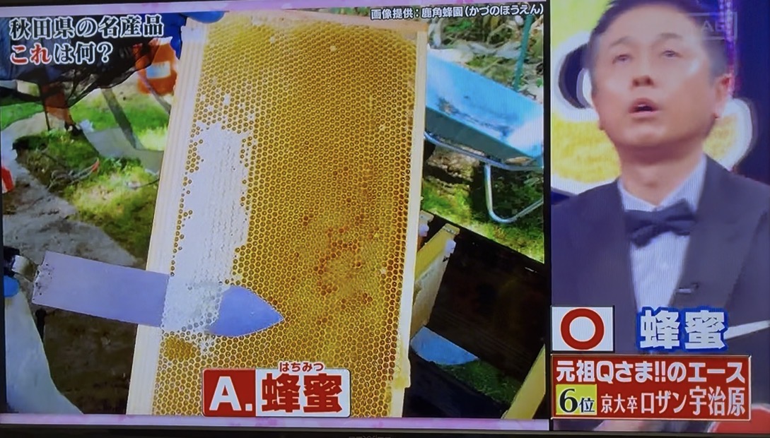 メディア掲載のお知らせ
