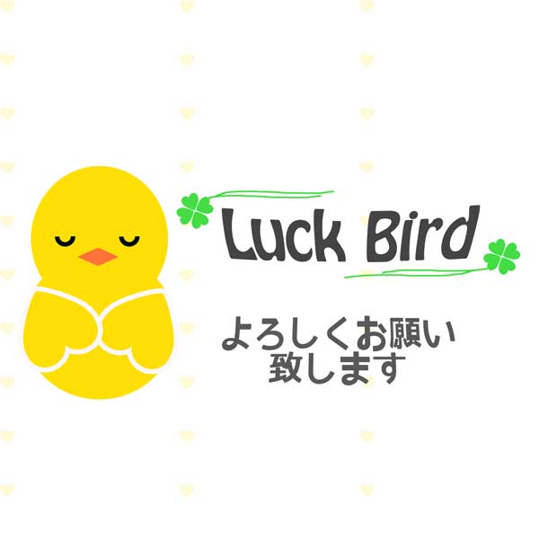 当店ラックバードをよろしくお願い致します。