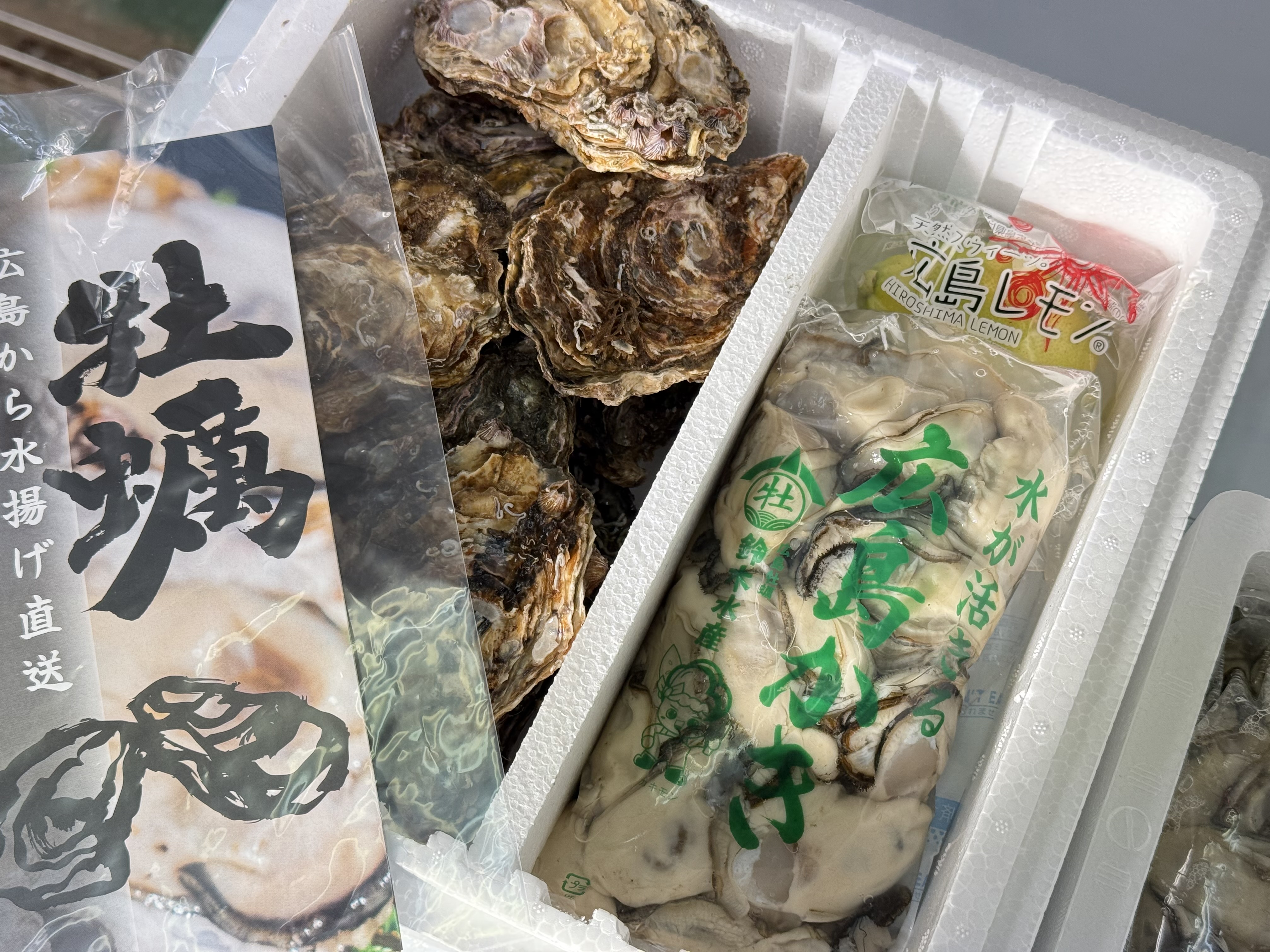 本日より殻付き牡蠣解禁！