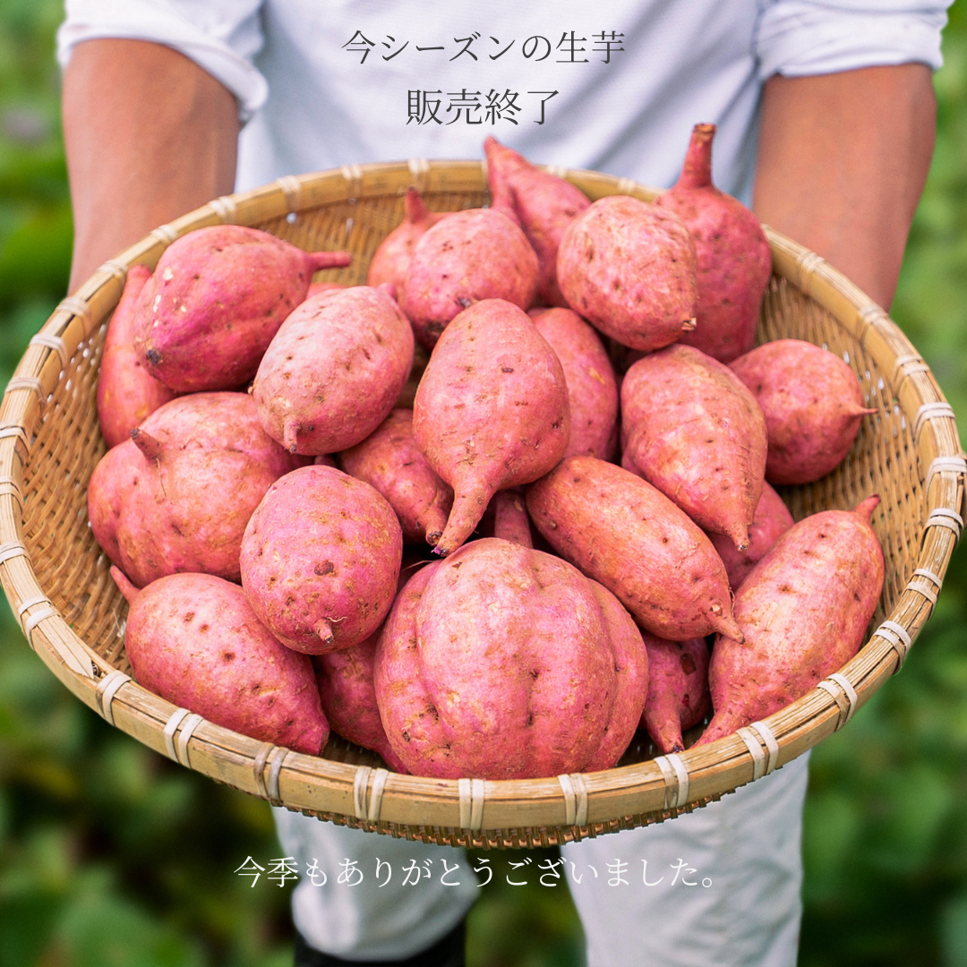 【生芋】熟成 種子島安納いも 今季公式オンライン販売終了のお知らせ