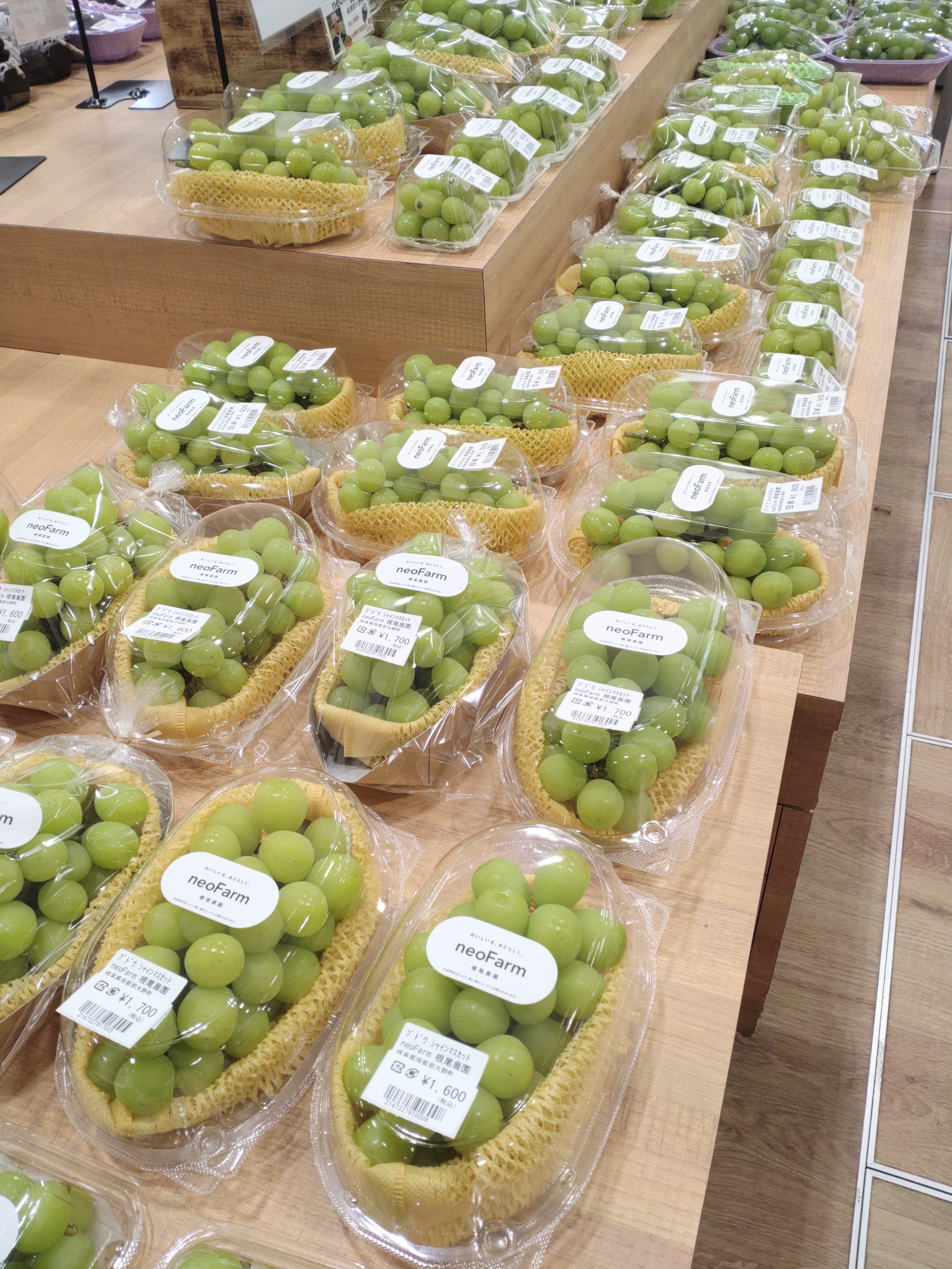 シャインマスカット販売中🍇