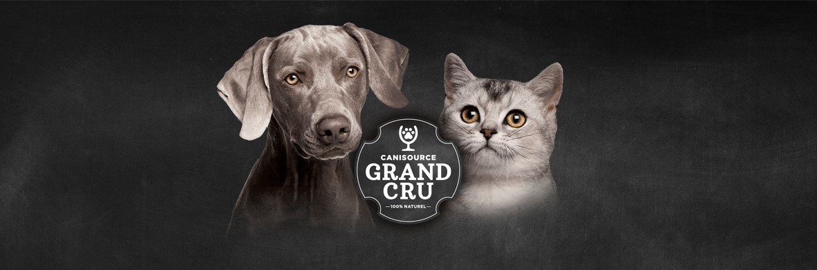Grand Cruキャットフード「サーフ アンド ターフ」商品欠品のお知らせ