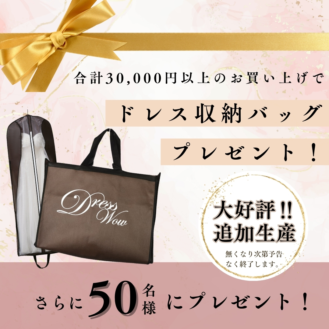 【大好評！追加生産決定！】ドレス収納バッグを感謝の気持ちを込めてプレゼント！