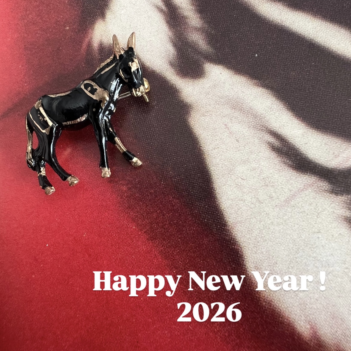 明けましておめでとうございます✨