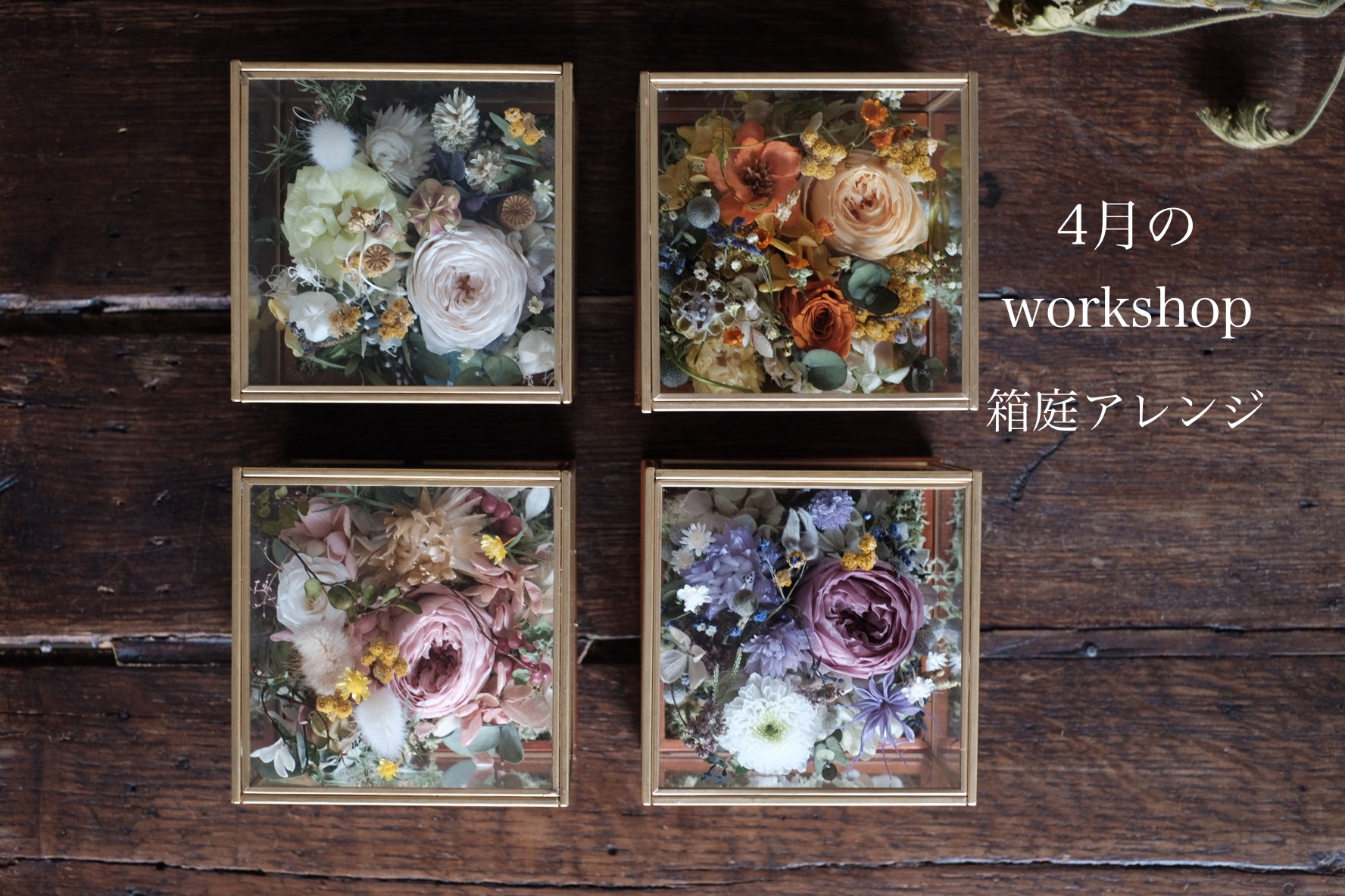 4月のworkshopのお知らせ