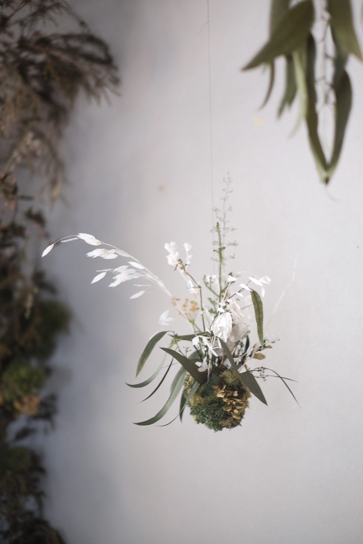 8月のworkshop 『苔玉アレンジ』