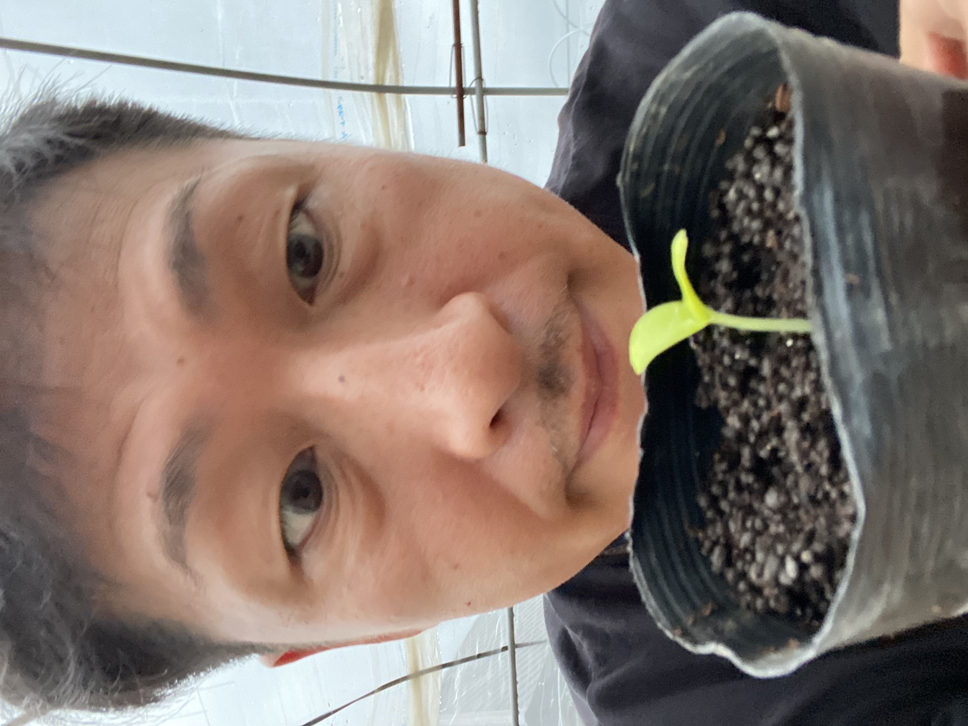植物の力に毎年ながら感動。。。